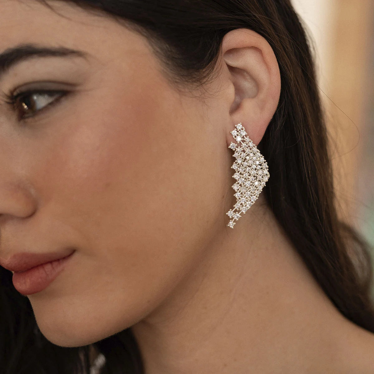 Encargo Pendientes Aleteo Personalizados (2 Meses)