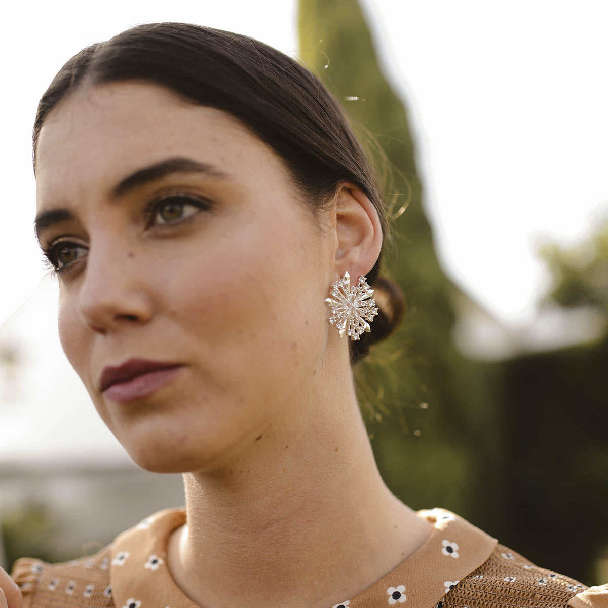 Pendientes Benavente Plata Shine
