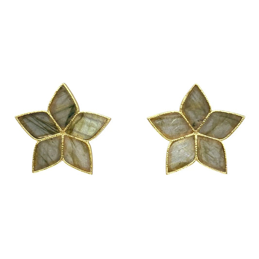 Pendientes Abelia Labradorita