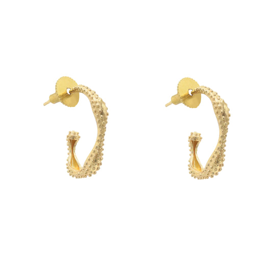 Pendientes Aros Fluir