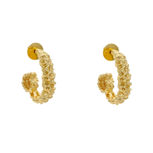 Pendientes Aros Rizo