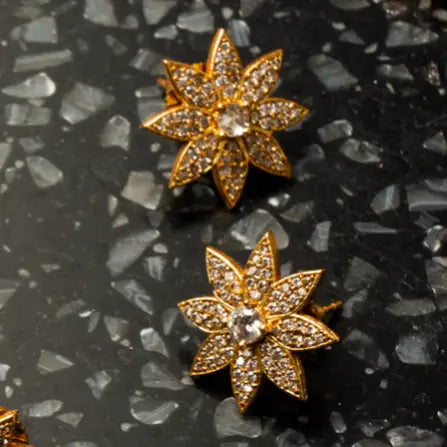 Pendientes Solara Shine M