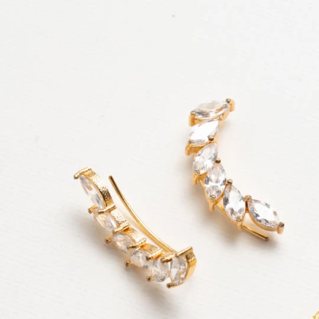 Pendientes Terems Trepador Zc Shine