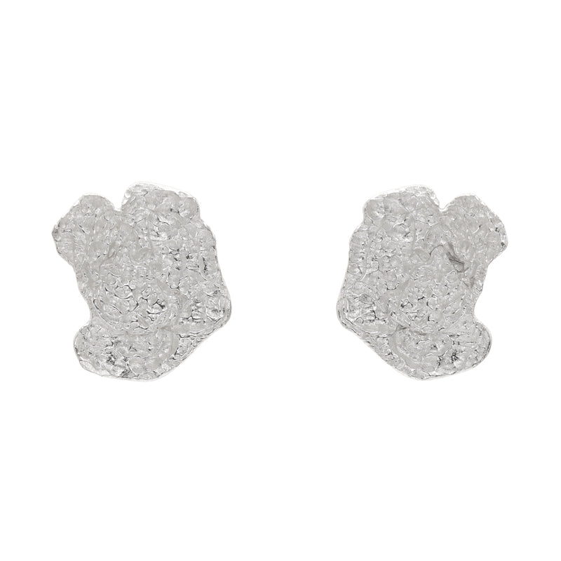 Pendientes Petrosia Plata