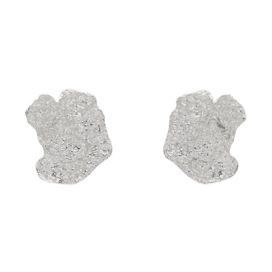 Pendientes Petrosia Plata