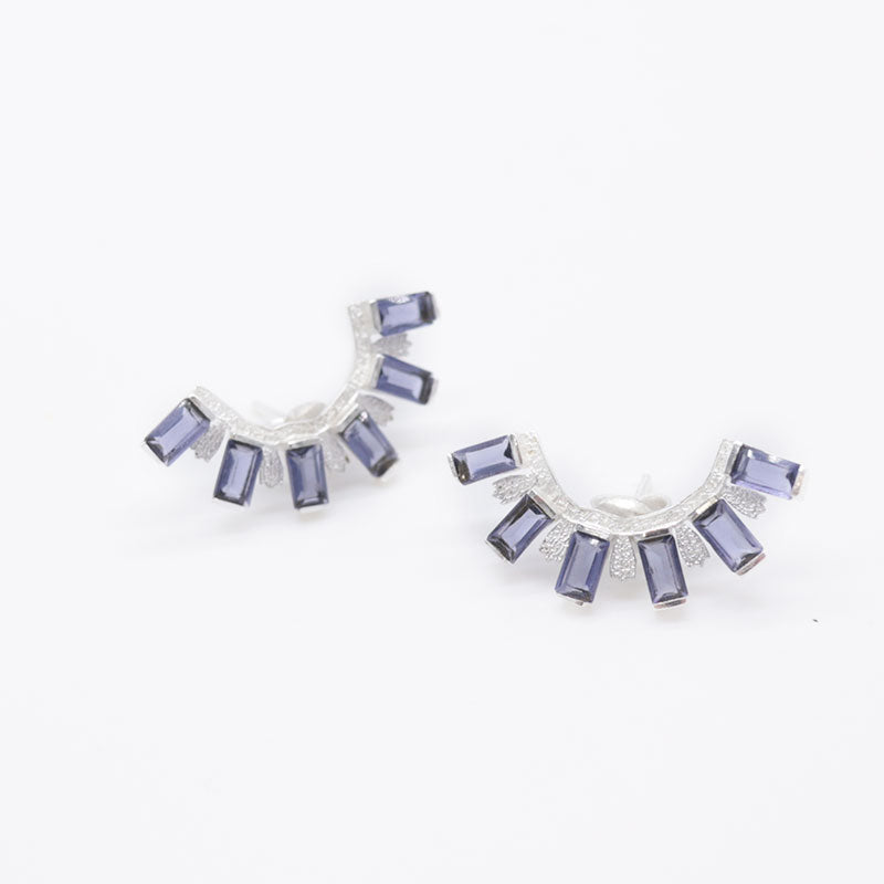 Pendientes Ekayn Plata Morado