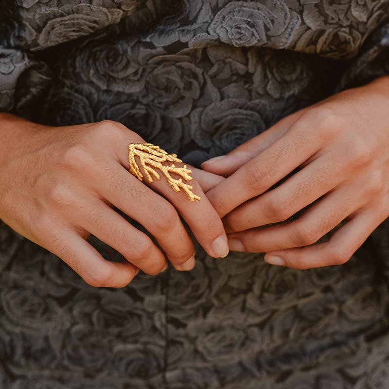Anillo Gobiidas