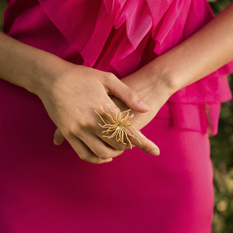 Anillo Meduze