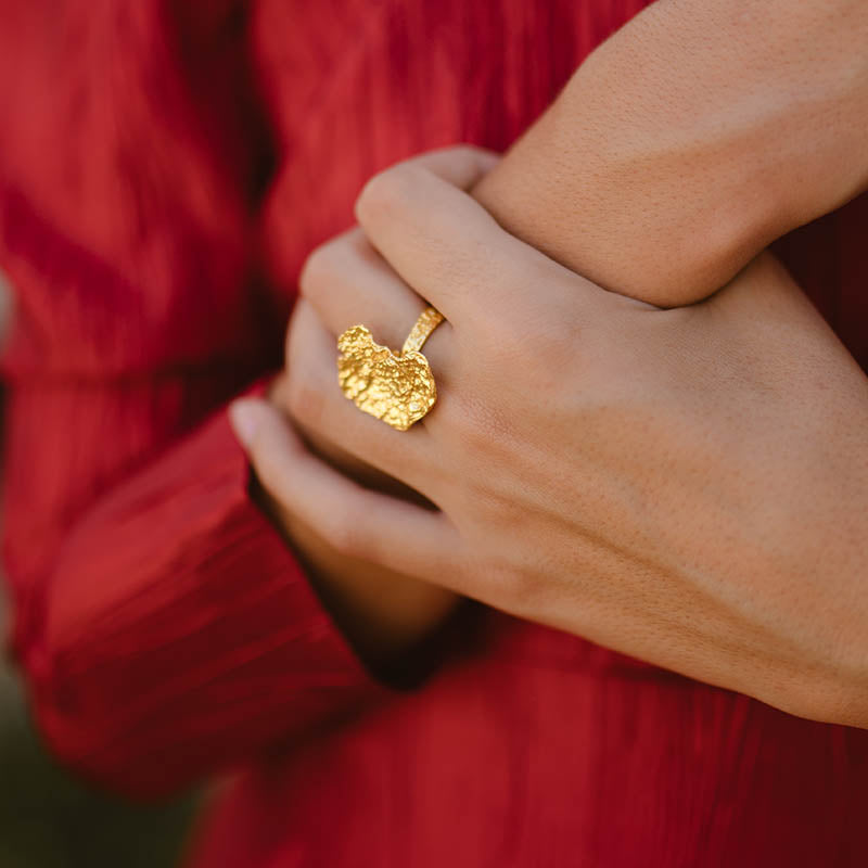 Anillo Petros