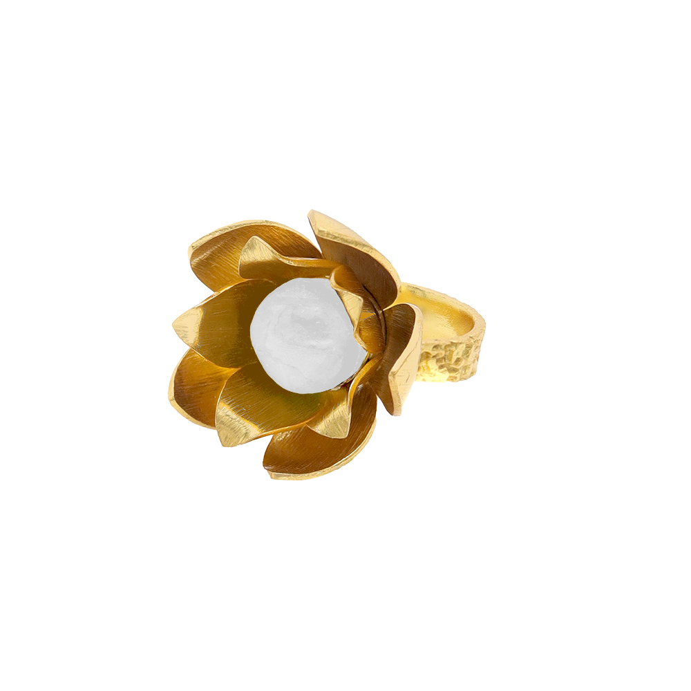 Encargo Anillo Osiris Personalizado (2 Meses)