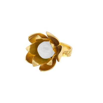 Encargo Anillo Osiris Personalizado (2 Meses)