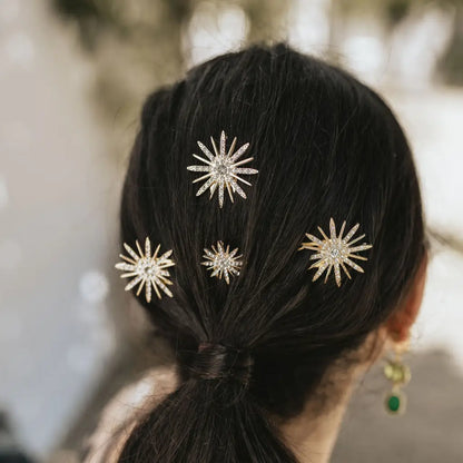 Horquilla Moño Auria Shine M