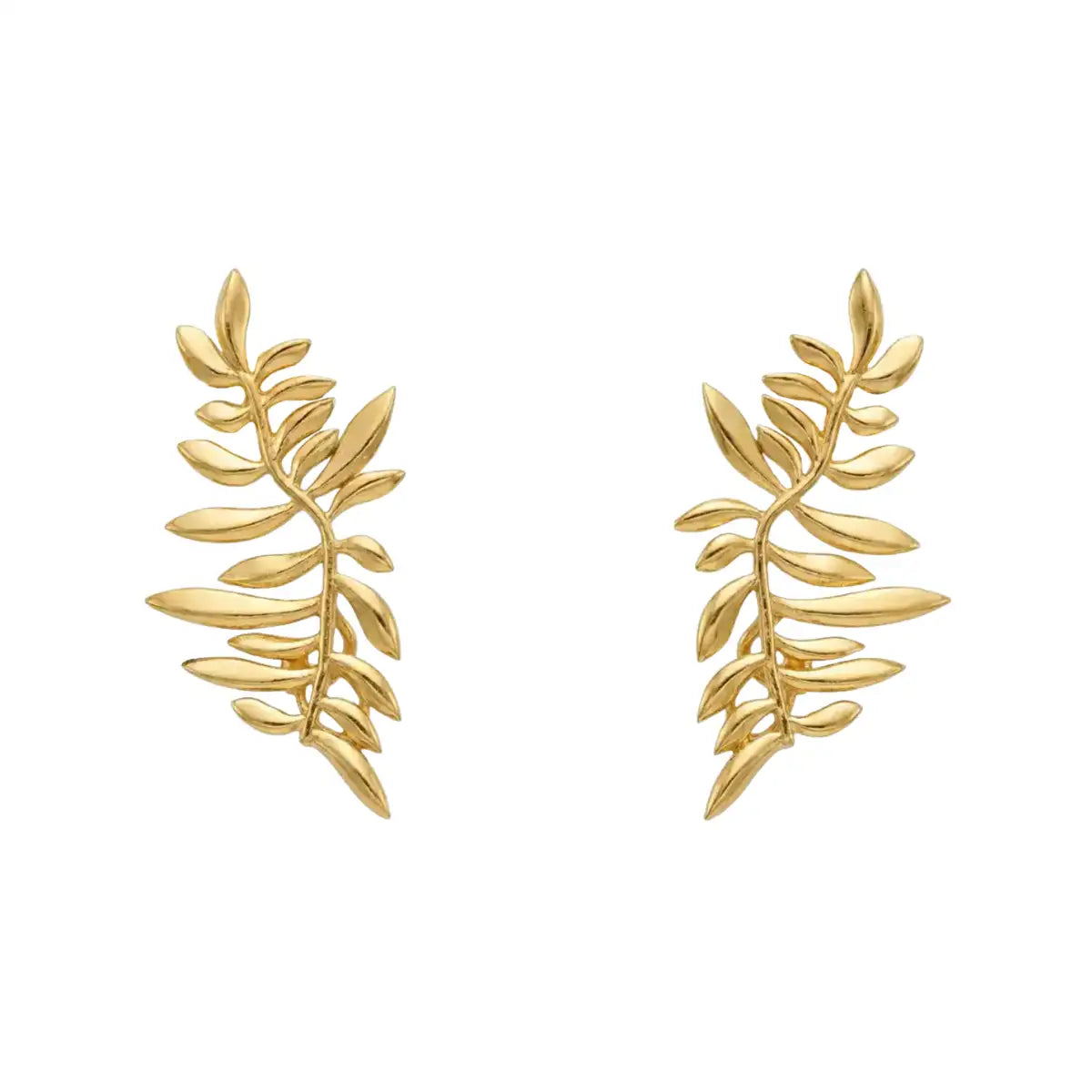 Matrix Pendientes Helecho Small