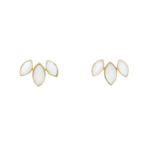 Encargo Pendientes Daisy Big Personalizados (2 Meses)