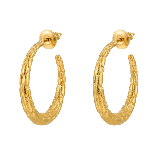 Pendientes Aros Cauce