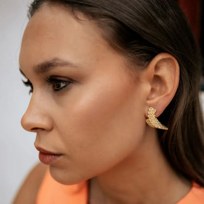 Pendientes Aros Vesta