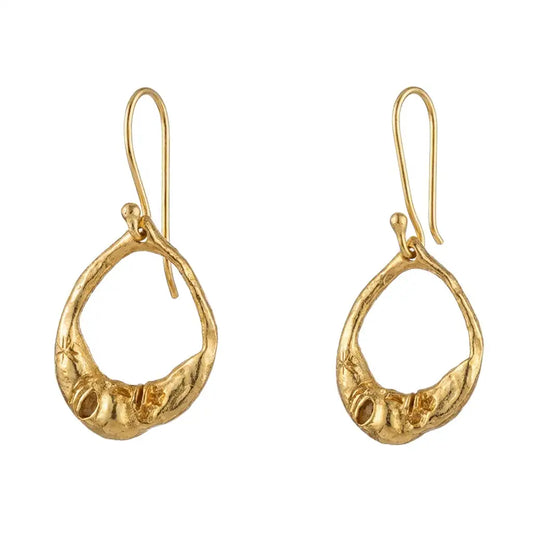 Pendientes Viseu