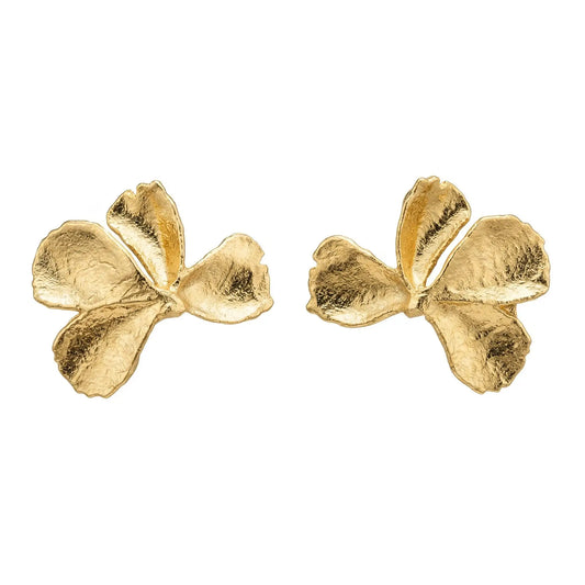 Pendientes Azara