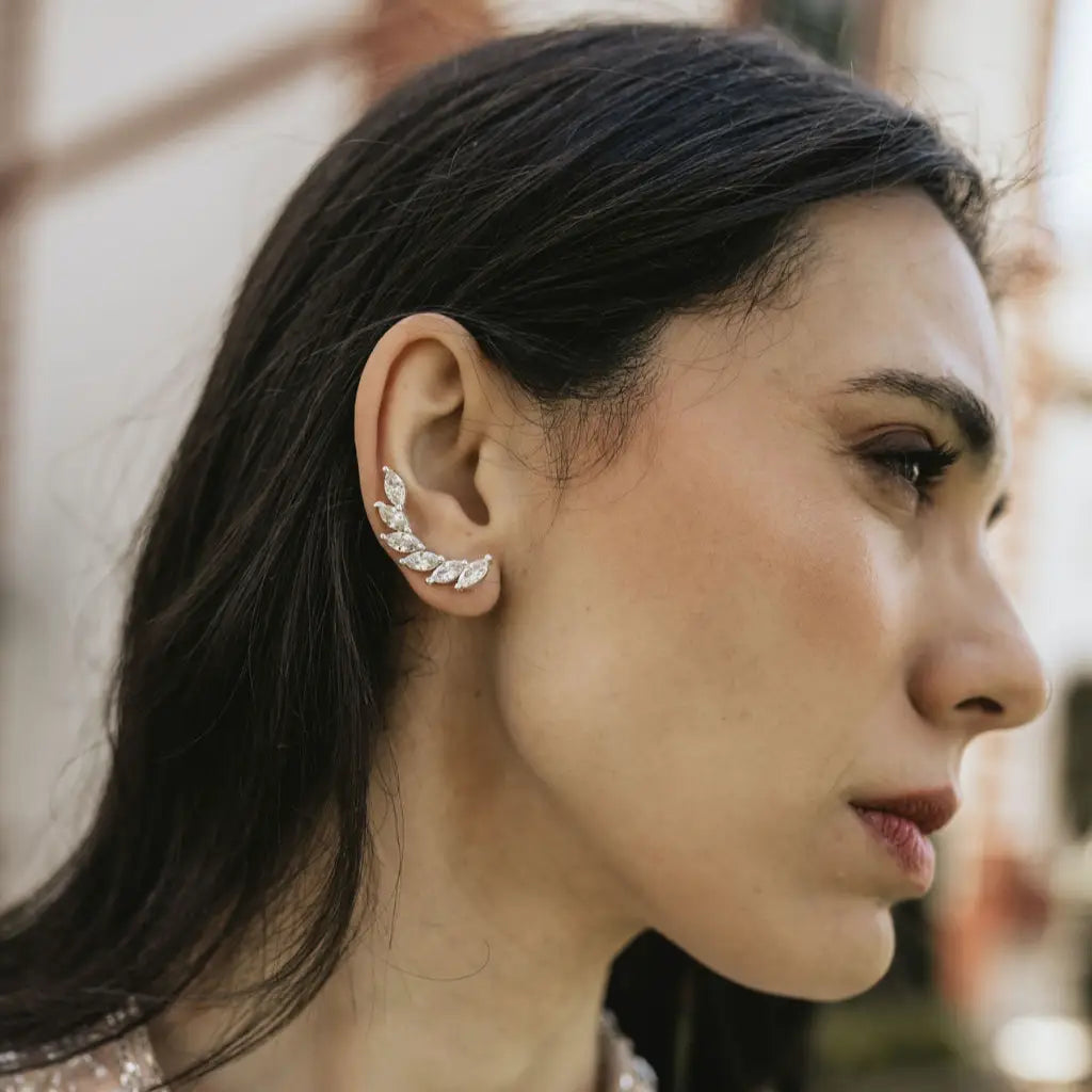 Pendientes Terems Trepador Zc Ed. Limitada Plata Shine