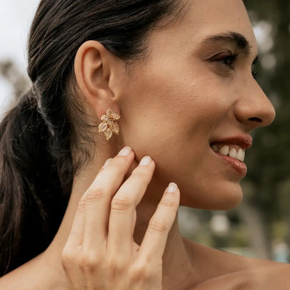 Pendientes Hielo Piedra lunar y Shine