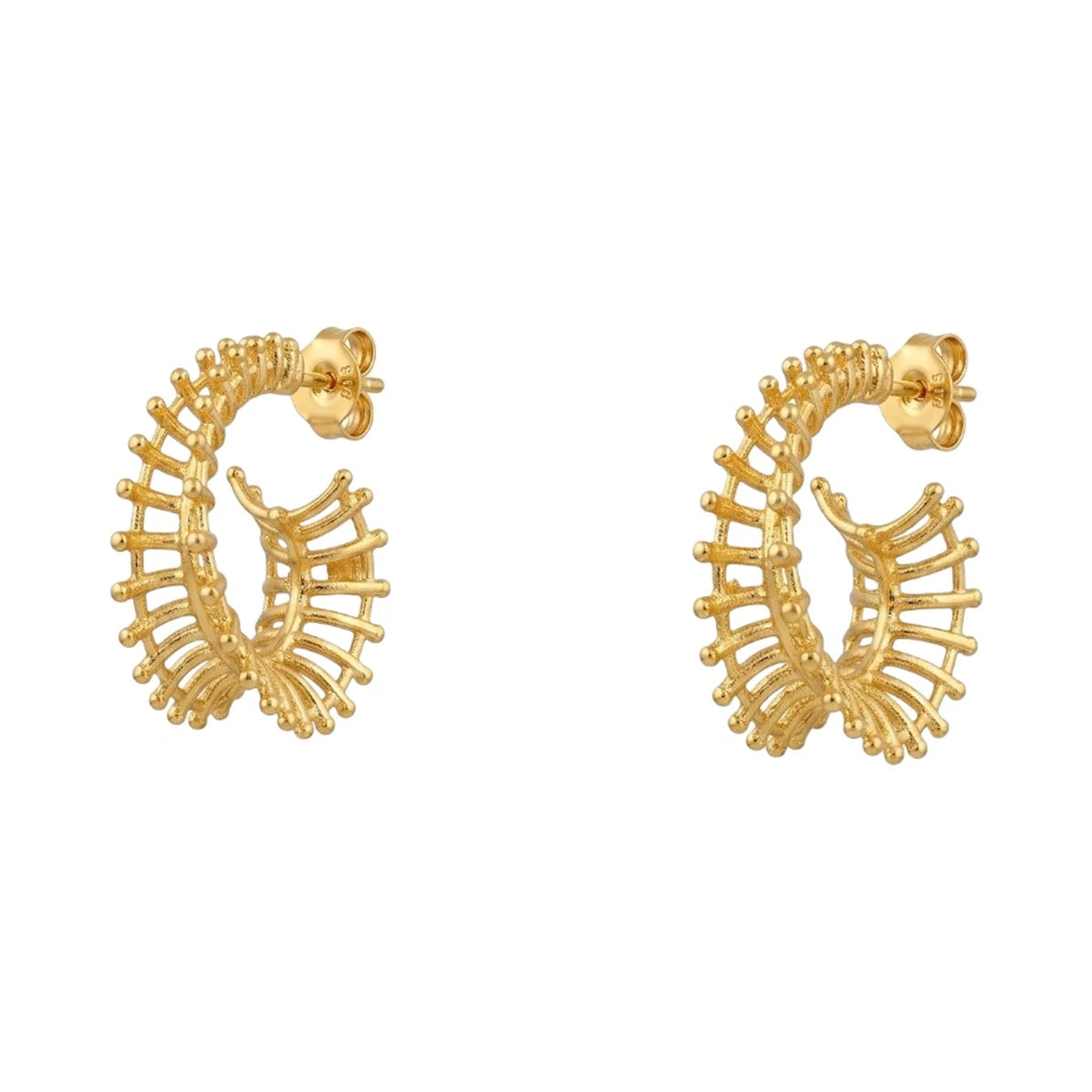 Pendientes Aros Rizoma