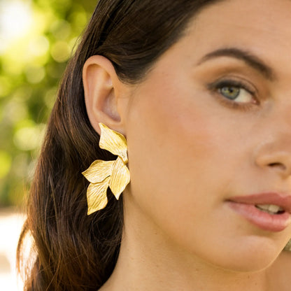 Pendientes Lira