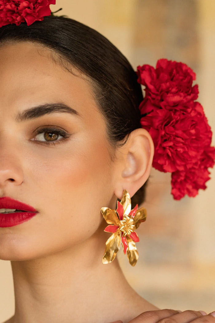 Pétalos de Granada Rojo